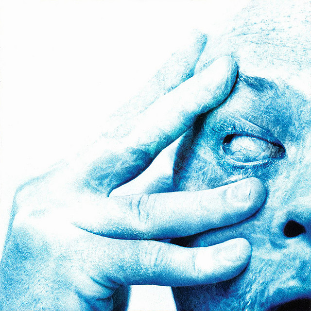 porcupine tree